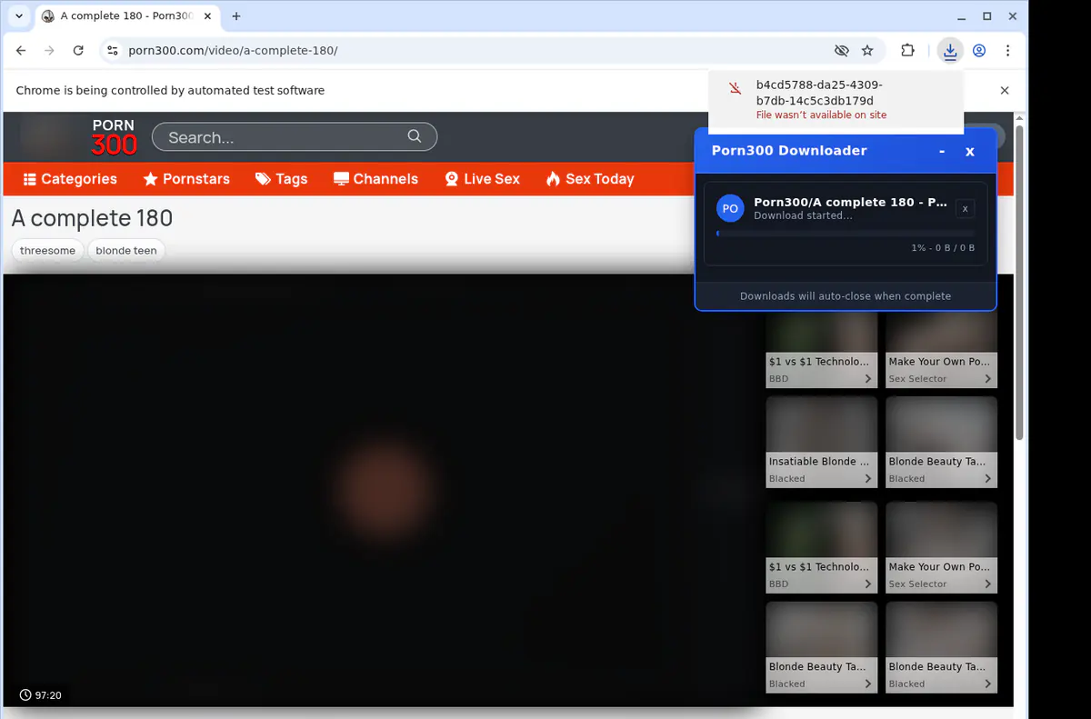 Porn 300 Video Downloader browser extension screenshot 2