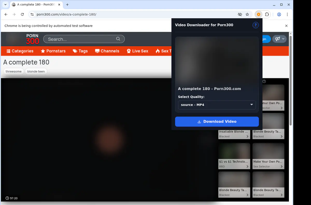 Porn 300 Video Downloader browser extension screenshot 3